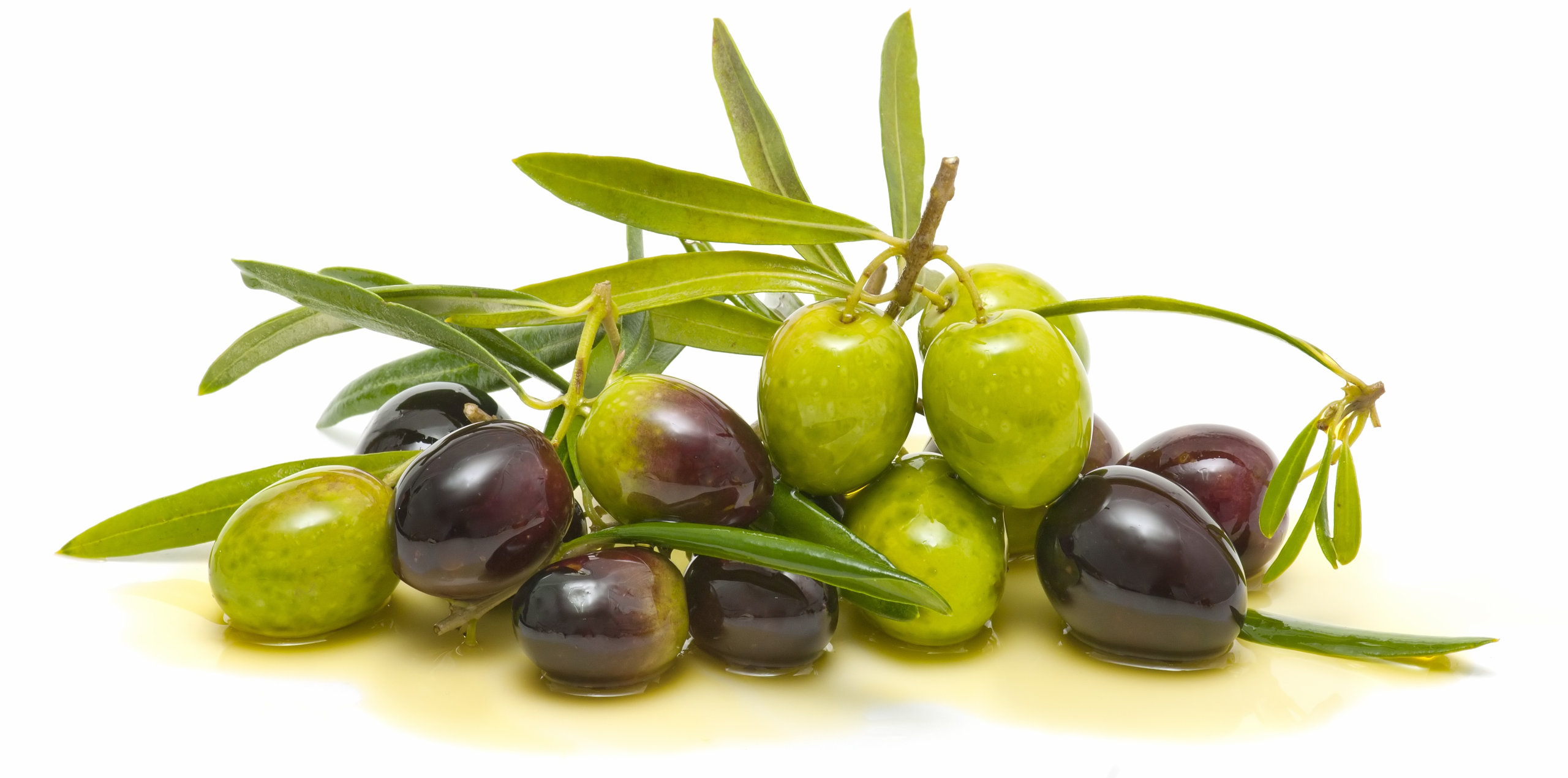 caratteristiche olio di oliva biologico