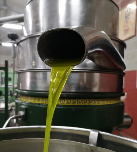 "Il Marchese" è estratto a freddo esclusivamente con mezzi meccanici Olio EVO Biologico Il Marchese di Agricoltura Bio Tesoriere