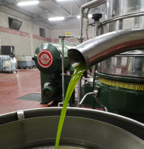 Olio Biologico estratto esclusivamente a freddo Il Marchese Olio EVO Bio estratto a freddo